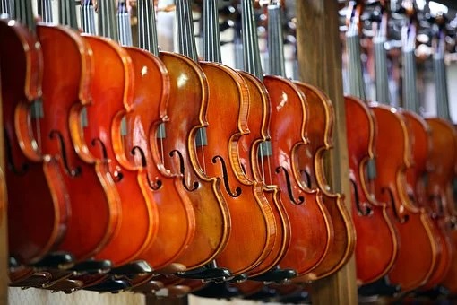 Violine – Instrument des Jahres 2020